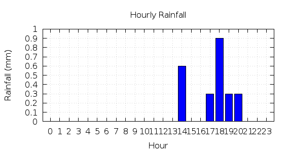 [1-day hourly rainfall]