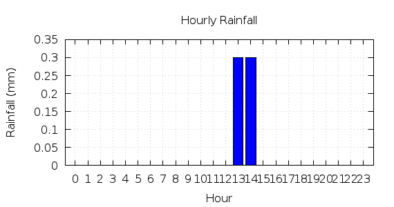 [1-day hourly rainfall]