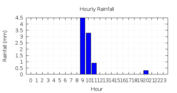 [1-day hourly rainfall]