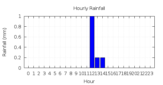 [1-day hourly rainfall]