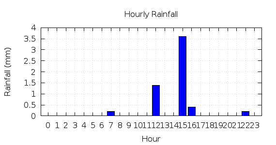 [1-day hourly rainfall]