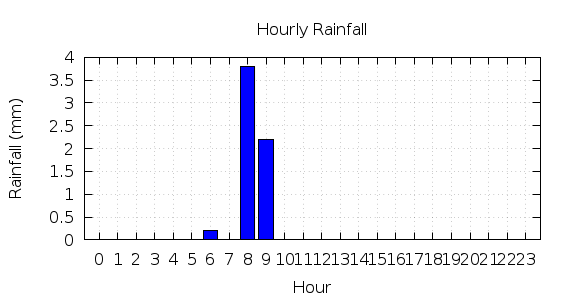 [1-day hourly rainfall]