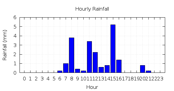 [1-day hourly rainfall]