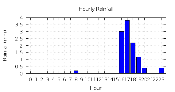 [1-day hourly rainfall]