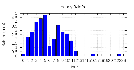 [1-day hourly rainfall]