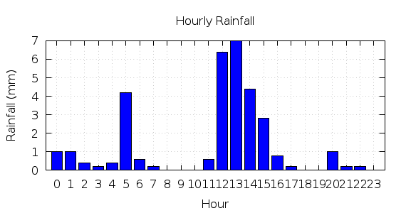 [1-day hourly rainfall]