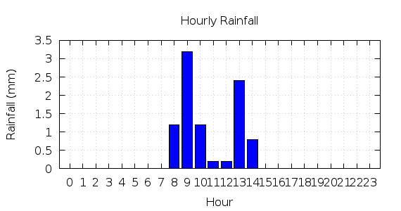 [1-day hourly rainfall]