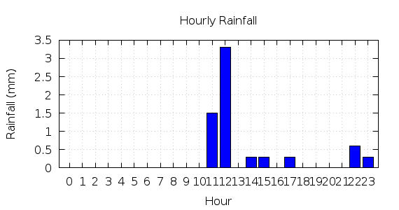 [1-day hourly rainfall]