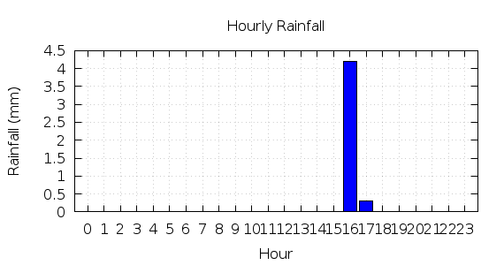 [1-day hourly rainfall]