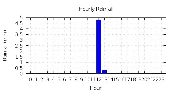 [1-day hourly rainfall]