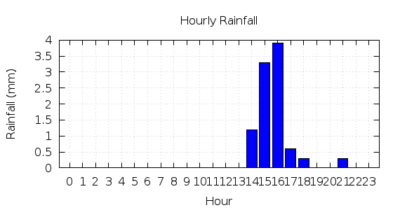 [1-day hourly rainfall]