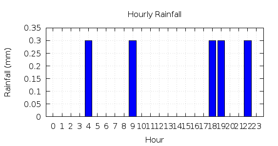 [1-day hourly rainfall]