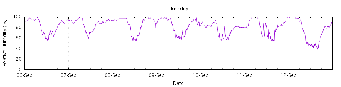 [7-day Humidity]