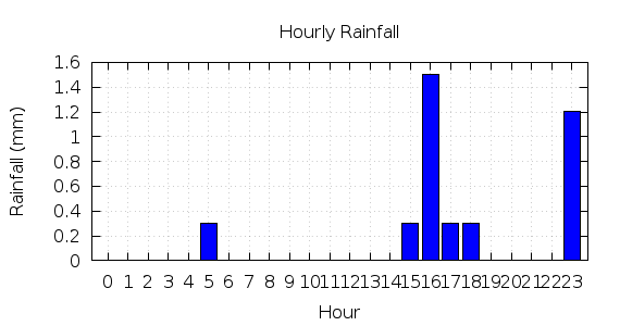 [1-day hourly rainfall]