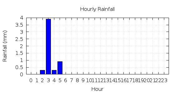 [1-day hourly rainfall]