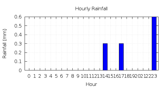 [1-day hourly rainfall]