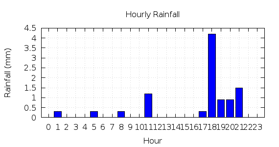 [1-day hourly rainfall]