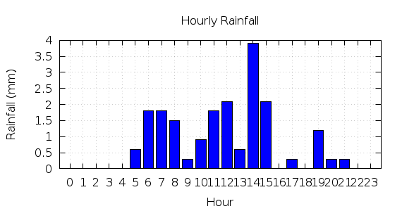 [1-day hourly rainfall]