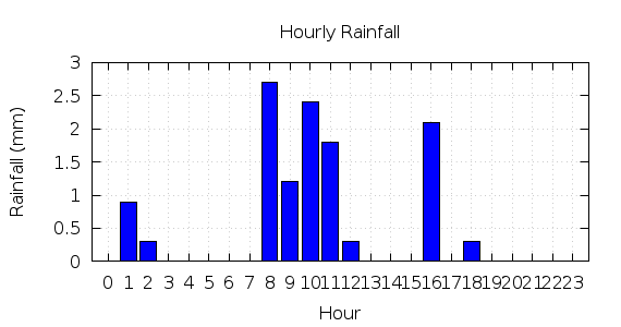 [1-day hourly rainfall]