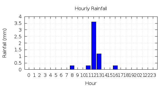 [1-day hourly rainfall]