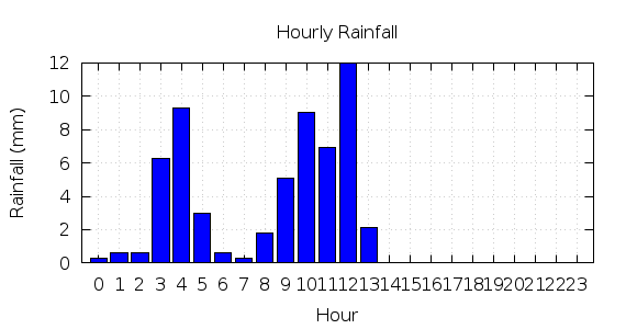 [1-day hourly rainfall]