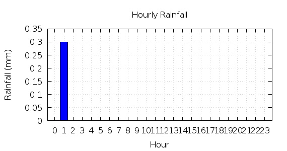 [1-day hourly rainfall]