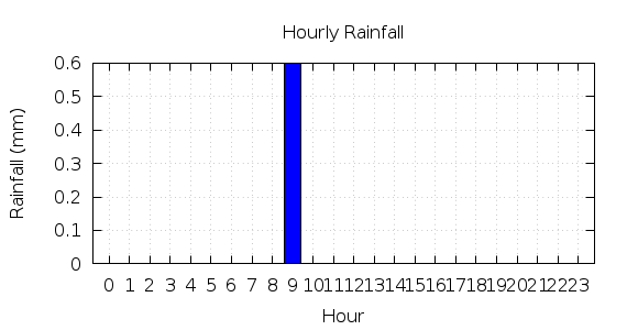 [1-day hourly rainfall]