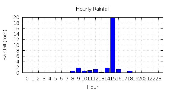 [1-day hourly rainfall]