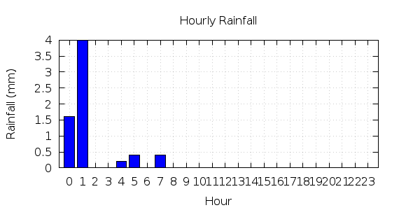 [1-day hourly rainfall]