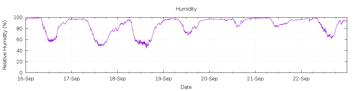 [7-day Humidity]