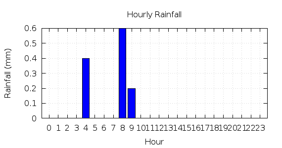 [1-day hourly rainfall]