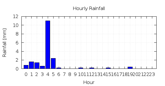 [1-day hourly rainfall]