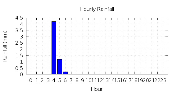 [1-day hourly rainfall]