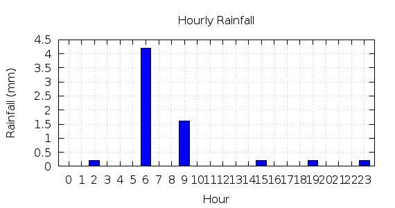 [1-day hourly rainfall]