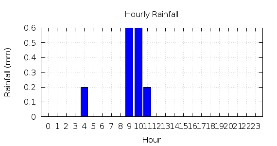 [1-day hourly rainfall]