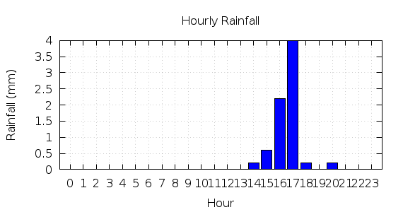 [1-day hourly rainfall]