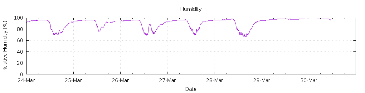 [7-day Humidity]