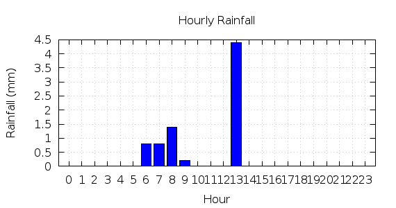 [1-day hourly rainfall]