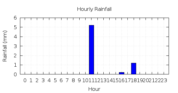 [1-day hourly rainfall]