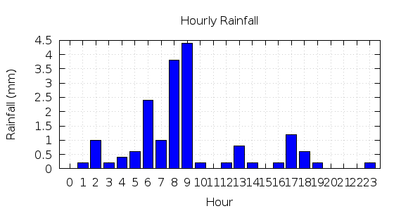 [1-day hourly rainfall]