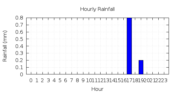 [1-day hourly rainfall]