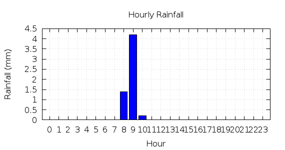 [1-day hourly rainfall]