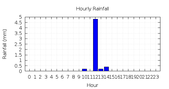 [1-day hourly rainfall]